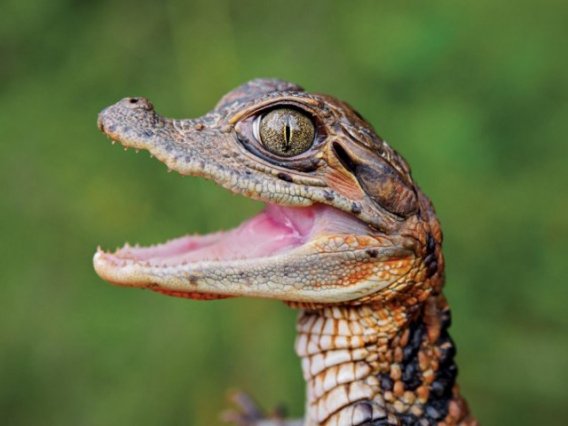 Как перестать брать что дают и начать выбирать достойных девушек? Инструкция